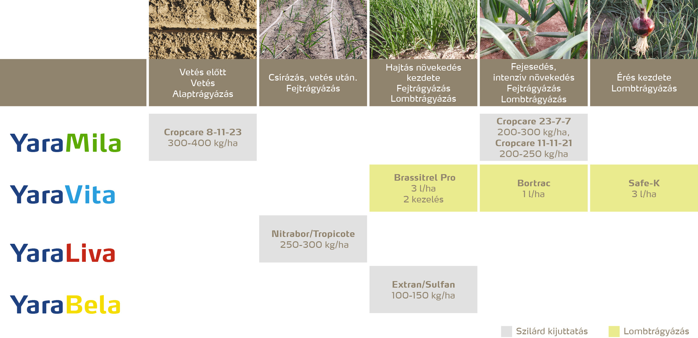 zoldseg_2020_feno_Hagymafélék copy.jpg