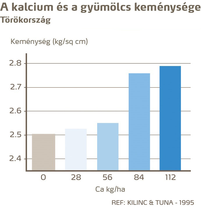 paradicsom minőség