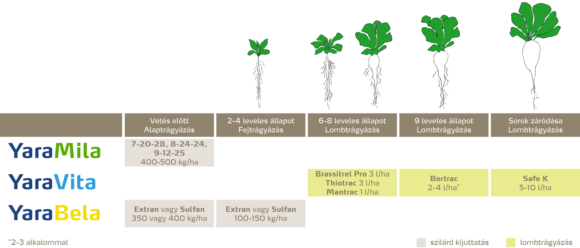 szantofoldi_2020_feno_Cukorrépa copy.jpg
