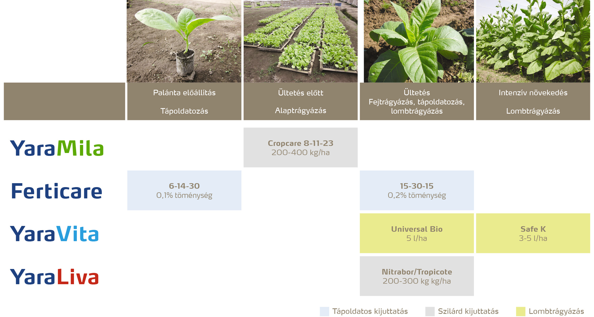 zoldseg_2020_feno_dohány copy.jpg