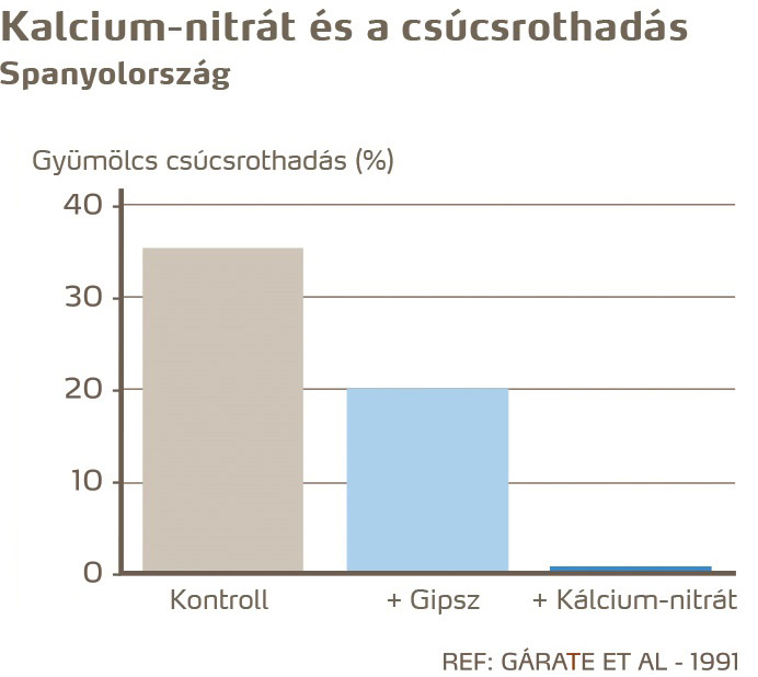 paradicsom egészség