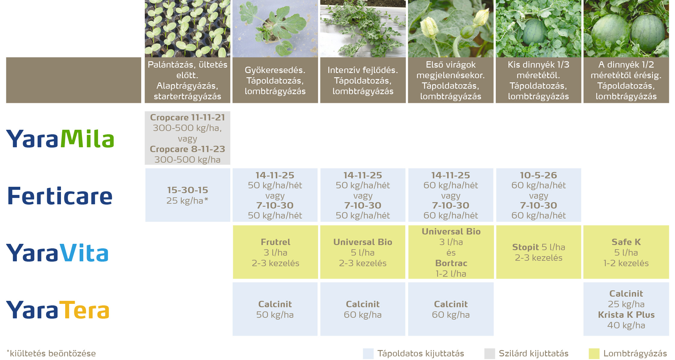 zoldseg_2020_feno_Görögdinnye copy.jpg