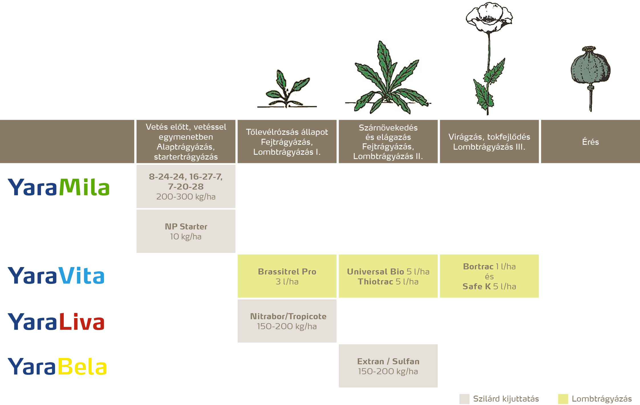szantofoldi_2020_feno_Mák copy.jpg