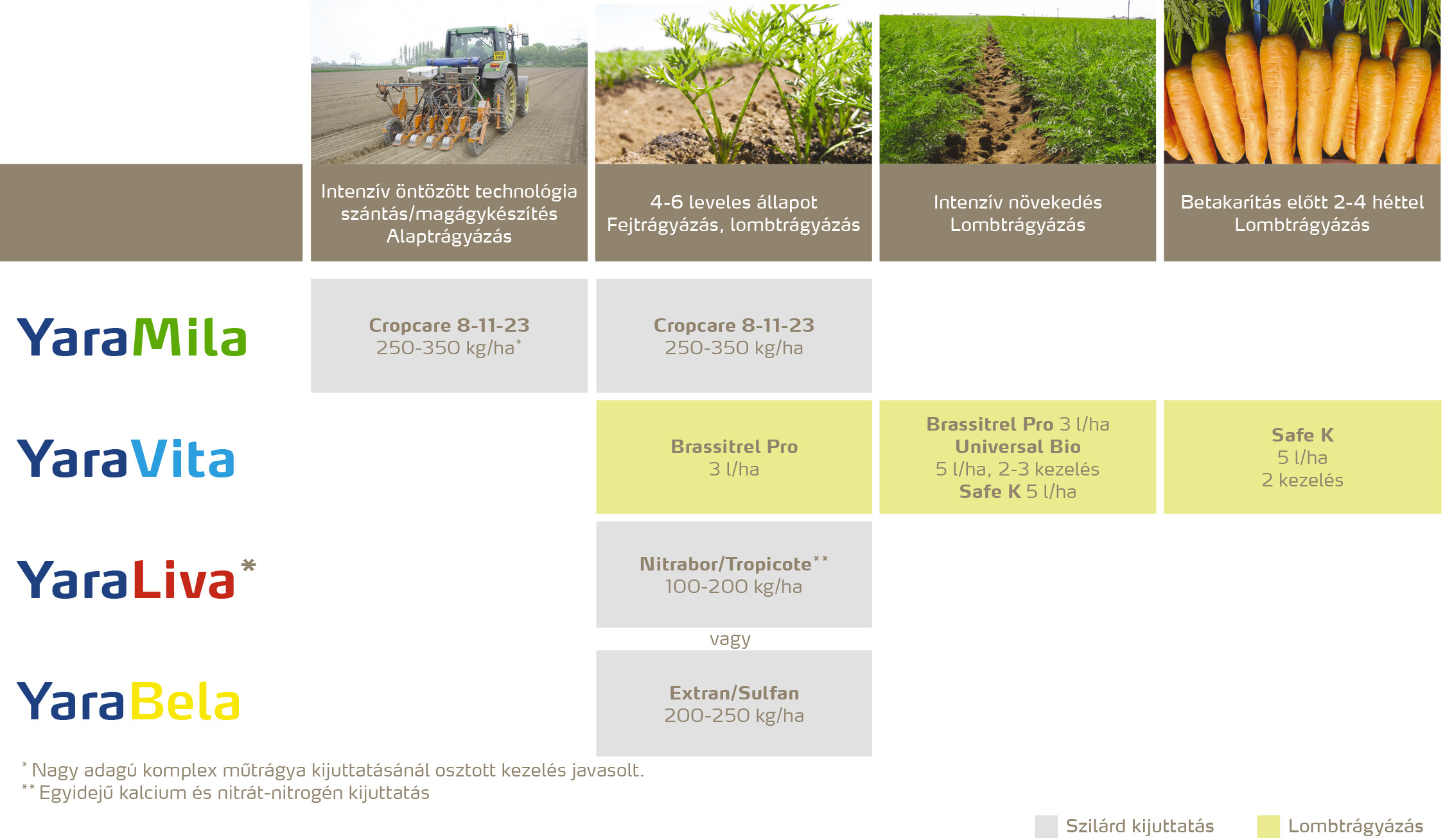 zoldseg_2020_feno_Gyökérzöldségek copy.jpg