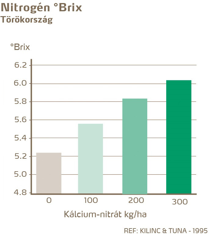 paradicsom minőség
