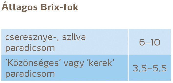 paradicsom minőség