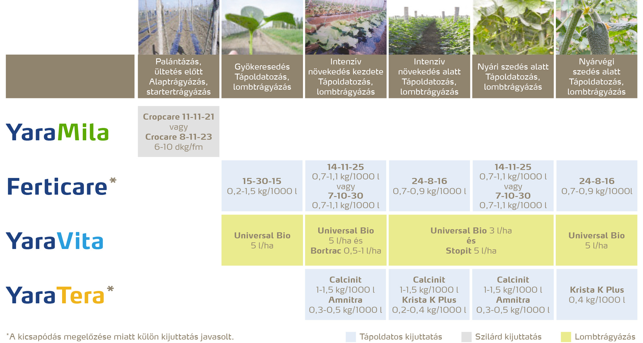 zoldseg_2020_feno_Konzervuborka copy.jpg