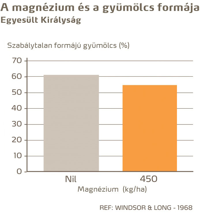 paradicsom minőség