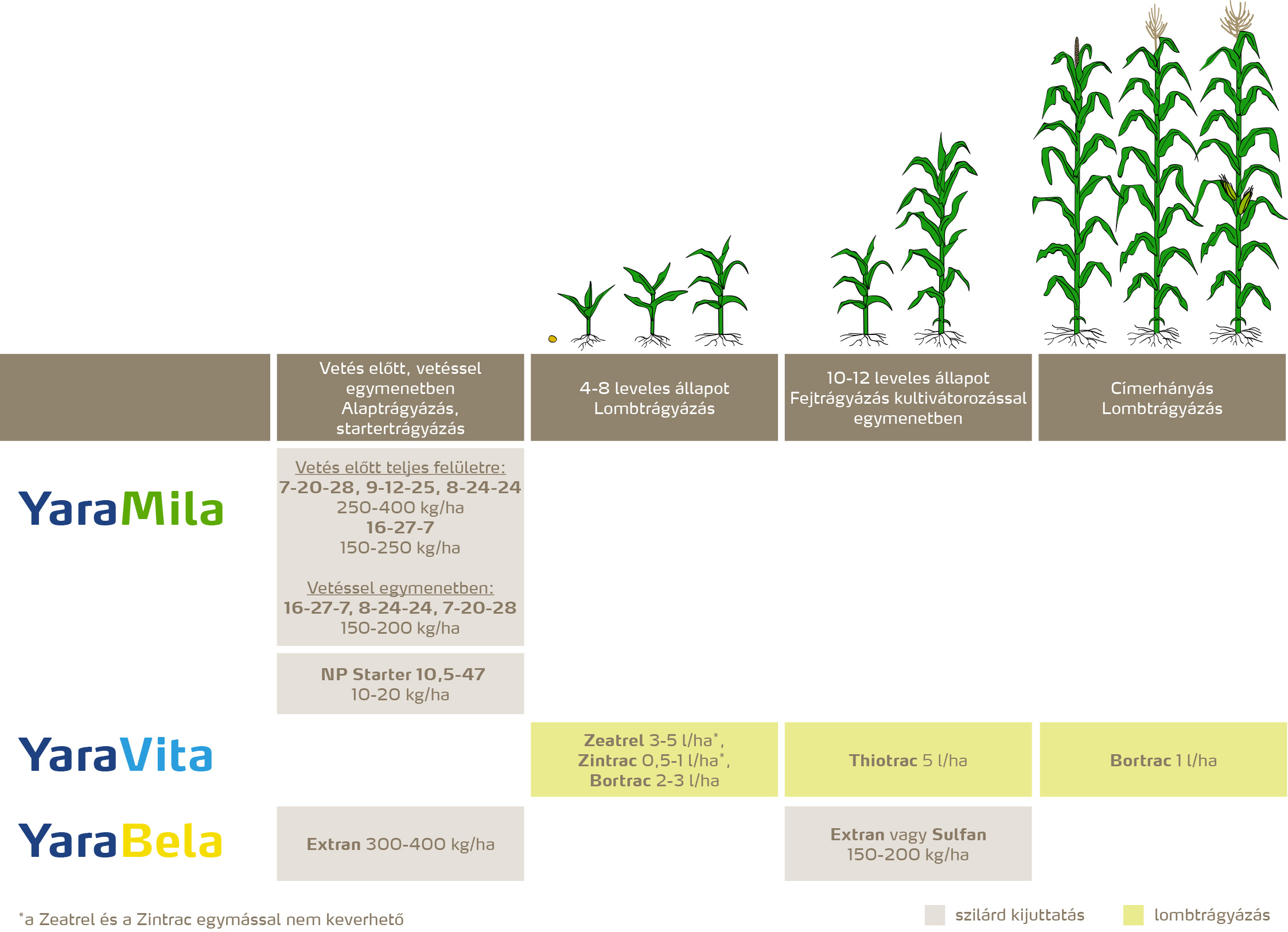 szantofoldi_2020_feno_Kukorica copy.jpg