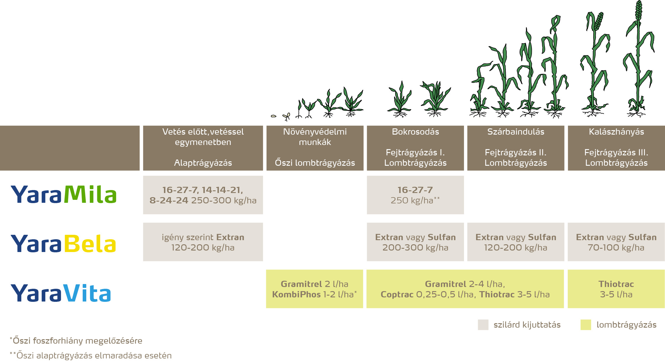 szantofoldi_2020_feno_Őszi búza copy.jpg